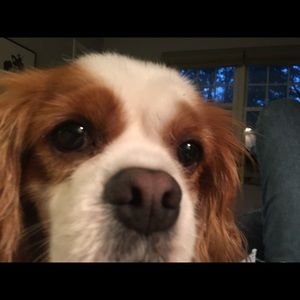 Meet your Posher, Mae